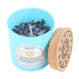 Something Different Pisces Gardenia Aquamarine Scented Candle Blue/brown (One Size)