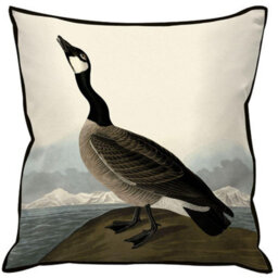 John James Audubon Hutchin Barnacle Goose Filled Cushion Black/white (55Cm X 55Cm)
