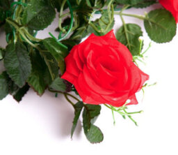 Best Artificial 7Ft Red Silk Rose Garland - thumbnail 5