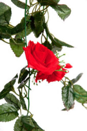 Best Artificial 7Ft Red Silk Rose Garland - thumbnail 8