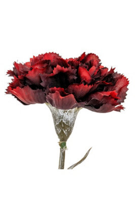 Burgundy Carnation Stem Realistic Artificial Flower For Elegant Arrangements - image 1