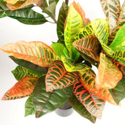 Leaf 140Cm Artificial Codiaeum Tree With 179 Leaves - thumbnail 4