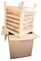Primrose Traditional Apple Storage Rack With 7 Drawers 91Cm X 58.5 X 53Cm - thumbnail 5