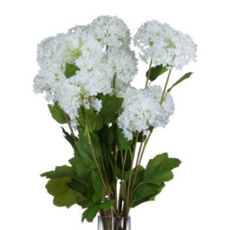 Hill Interiors Viburnum Opulus White Faux Plant - thumbnail 4