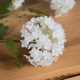 Hill Interiors Viburnum Opulus White Faux Plant - thumbnail 3