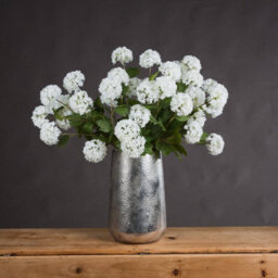 Hill Interiors Viburnum Opulus White Faux Plant - thumbnail 1