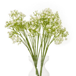 Hill Interiors Gypsophila Stem Artificial Flower Cream (One Size) - thumbnail 3