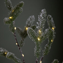 Samuel Alexander 5Ft (1.5M) Light Up Green Snowy Noel Christmas Tree With Stand And Warm White Leds - thumbnail 8