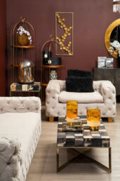 Orsina Relic Coffee Table With Brass Finish - thumbnail 2