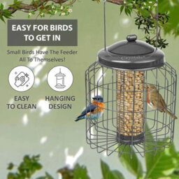 Heavy Duty Hanging Bird Feeder For Peanuts & Fat Balls Garden Wildlife Feed Station - thumbnail 5