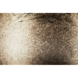 Orsina Lamina Mocha Ombre Rectangular Faux Fur Cushion, Luxe Feather-Filled Throw Pillow With Faux-Suede Reverse - thumbnail 6