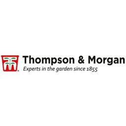 Thompson & Morgan Citrus & Fig Tree Collection Orange Calamondin Lemon Lime Green Fig - 4 X 9Cm Pots & 4 Grey Planters - thumbnail 7