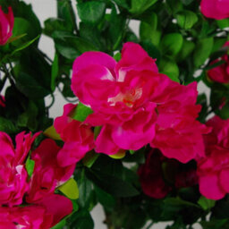Leaf Artificial 100Cm Premium Azalea Pink Flowers Potted Plant With Copper Metal Planter - thumbnail 2