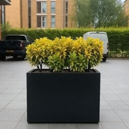 Idealist™ 50Cm Planter Garden Trough, Black Reinforced Stone Narrow Rectangular Planter, Outdoor Plant Pot H40 L50 W20 Cm, 40L - thumbnail 5