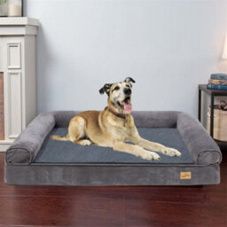 Bingopaw Xl Orthopedic Memory Foam Dog Bed Waterproof Pet Sofa Couch Removable Cover 120 X 90 X 20 Cm - thumbnail 1
