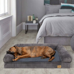 Bingopaw Xl Orthopedic Memory Foam Dog Bed Waterproof Pet Sofa Couch Removable Cover 120 X 90 X 20 Cm - thumbnail 2