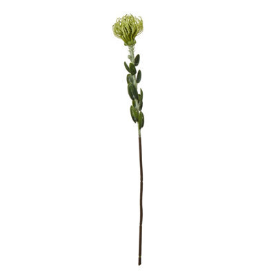 Wyld Haus Set Of 3 Green Pincushion Protea Artificial Flowers 610mm Tall Stems - image 1