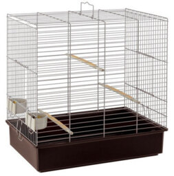 Ferplast Sonia Parakeet Cage Grey 61.5X40X65Cm