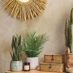 Wyld and Coco 40Cm Artificial Snake Plant In Black Cement Pot - Lifelike Green Foliage For Desks And Shelves - thumbnail 1