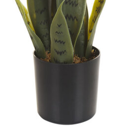 Wyld and Coco 40Cm Artificial Snake Plant In Black Cement Pot - Lifelike Green Foliage For Desks And Shelves - thumbnail 5
