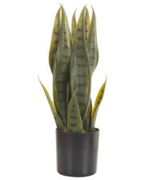 Wyld and Coco 40Cm Artificial Snake Plant In Black Cement Pot - Lifelike Green Foliage For Desks And Shelves - thumbnail 2