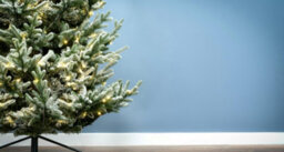 Christmas Tree World The 5Ft/150Cm Pre-Lit Frosted Ultra Mountain Pine - thumbnail 8