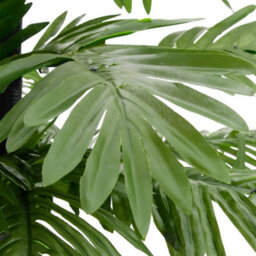 Berkfield Led Palm Tree Warm White 88 Leds 150 Cm - thumbnail 5