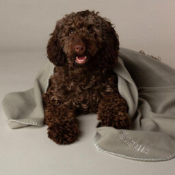 Scruffs Large Expedition Fleece Pet Blanket 140 X 100Cm - Storm Grey - thumbnail 4
