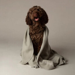 Scruffs Large Expedition Fleece Pet Blanket 140 X 100Cm - Storm Grey - thumbnail 3