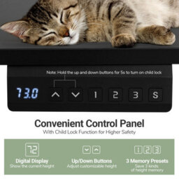 Gainoom Ergonomic Black Stand Up Desk 120X60Cm Electric Standing Computer Desk - thumbnail 6