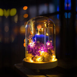 Living And Home Spherical Immortal Glass Cover With Wood Base And Warm White Light 25Cm - thumbnail 3
