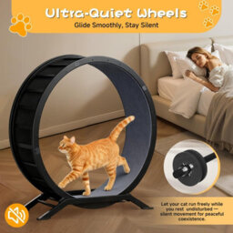 Gtplayer Cat Wheel 90 Cm Metal Large Cats Exercise Running Wheel For Indoor Cats With Teaser Removable Carpet Cat Treadmill - thumbnail 7