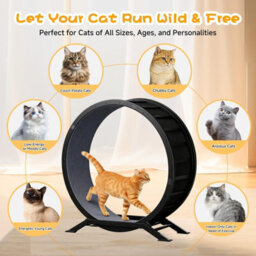 Gtplayer Cat Wheel 90 Cm Metal Large Cats Exercise Running Wheel For Indoor Cats With Teaser Removable Carpet Cat Treadmill - thumbnail 6
