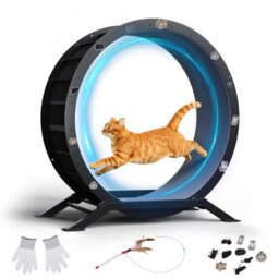 Gtplayer Cat Wheel 90 Cm Metal Large Cats Exercise Running Wheel For Indoor Cats With Teaser Removable Carpet Cat Treadmill - thumbnail 1