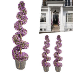 Pegdev - Pdl Pair Of 120Cm Purple Artificial Boxwood Spiral Trees - Large Realistic Topiary For Indoor/outdoor With Planters - thumbnail 5