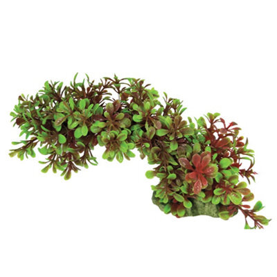 Swell Green & Red Trailing Leaves Artificial Plant