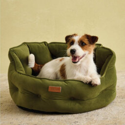 Joules Luxury Chesterfield Dog Bed - Khaki - thumbnail 3