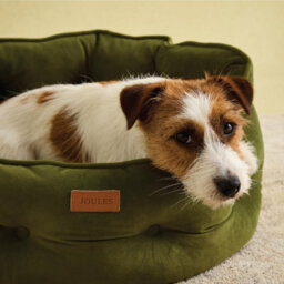 Joules Luxury Chesterfield Dog Bed - Khaki - thumbnail 2