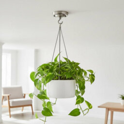 Modern Satin Nickel Ceiling Rose 105mm With Hook Heavy Duty Decorative Light Pendant Canopy For Ceiling Lights Lamps Chandeliers - thumbnail 6