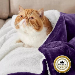 Ameha Sherpa Fleece Blanket For Bed, Sofa & Travel Soft Fluffy Thick & Reversible Throw Purple Single 130X150Cm - thumbnail 3