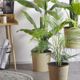 Beliani Areca Palm Artificial 124 Cm Green And Black With Cement Base - Indoor Fake Plant - thumbnail 2