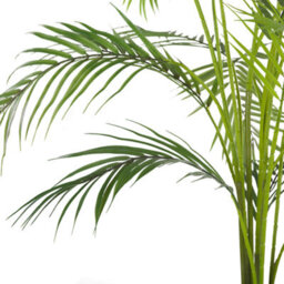 Beliani Areca Palm Artificial 124 Cm Green And Black With Cement Base - Indoor Fake Plant - thumbnail 4