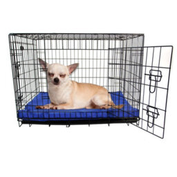 Actiaspet Small Dog Bed Cage Crate Pet Waterproof Hygienic Bedding Tough Hardwearing Cushion Mat Blue - thumbnail 4