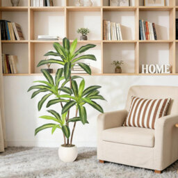 London Boutique 120 Cm Artificial Dracaena Tree, Faux Yucca Floor Plant, White Tall Planter, Artificial Plants Indoor - thumbnail 8