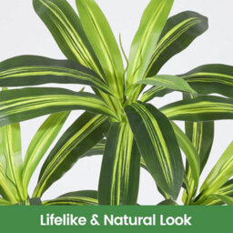 London Boutique 120 Cm Artificial Dracaena Tree, Faux Yucca Floor Plant, White Tall Planter, Artificial Plants Indoor - thumbnail 6