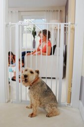 Bettacare Child And Pet Gate, 139.8Cm - 147.4Cm, White, Extra Tall Gate 104Cm In Height, Pressure Fit Stair Gate - thumbnail 8