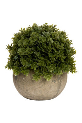 Miniature Hebe Veronica In Pot Lifelike Artificial Plant For Retail Decor - image 1