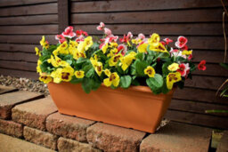 Best Artificial 30Cm Red Pansy Plug Plant - Pot Not Included - thumbnail 6