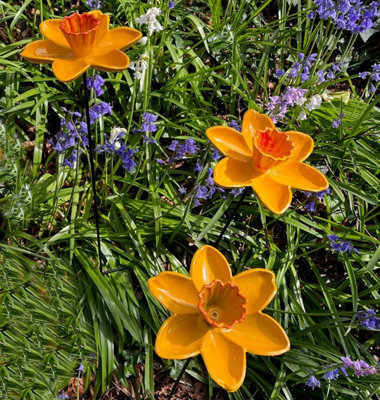Garden Selections Cast Iron Daffodil Bird Feeder Flower Dish (Set Of 3) - image 1