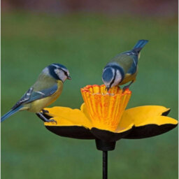 Garden Selections Cast Iron Daffodil Bird Feeder Flower Dish (Set Of 3) - thumbnail 5